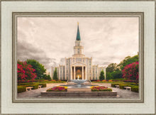 Load image into Gallery viewer, Houston Everlasting
