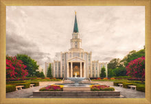 Load image into Gallery viewer, Houston Everlasting
