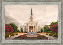 Load image into Gallery viewer, Houston Everlasting
