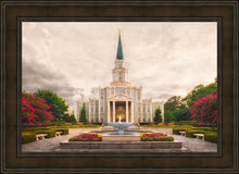 Load image into Gallery viewer, Houston Everlasting
