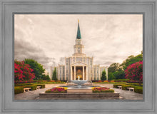 Load image into Gallery viewer, Houston Everlasting

