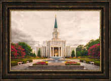 Load image into Gallery viewer, Houston Everlasting
