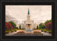 Load image into Gallery viewer, Houston Everlasting
