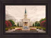 Load image into Gallery viewer, Houston Everlasting
