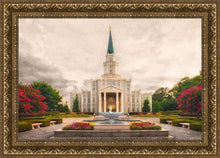 Load image into Gallery viewer, Houston Everlasting
