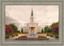 Load image into Gallery viewer, Houston Everlasting
