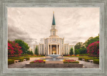 Load image into Gallery viewer, Houston Everlasting
