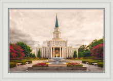 Load image into Gallery viewer, Houston Everlasting
