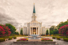 Load image into Gallery viewer, Houston Everlasting
