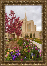 Load image into Gallery viewer, Ogden Tulips
