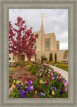 Load image into Gallery viewer, Ogden Tulips

