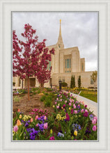Load image into Gallery viewer, Ogden Tulips

