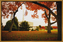 Load image into Gallery viewer, Provo Sanctuary
