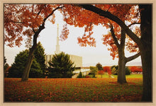 Load image into Gallery viewer, Provo Sanctuary
