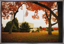 Load image into Gallery viewer, Provo Sanctuary
