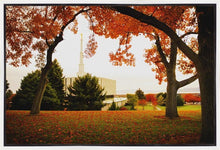 Load image into Gallery viewer, Provo Sanctuary
