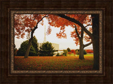 Load image into Gallery viewer, Provo Sanctuary
