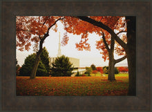 Load image into Gallery viewer, Provo Sanctuary
