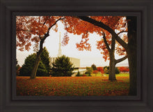 Load image into Gallery viewer, Provo Sanctuary
