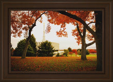 Load image into Gallery viewer, Provo Sanctuary
