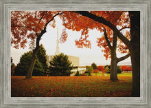 Load image into Gallery viewer, Provo Sanctuary
