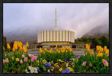 Load image into Gallery viewer, Provo Spring Tulips
