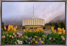 Load image into Gallery viewer, Provo Spring Tulips
