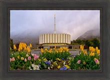 Load image into Gallery viewer, Provo Spring Tulips
