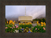 Load image into Gallery viewer, Provo Spring Tulips
