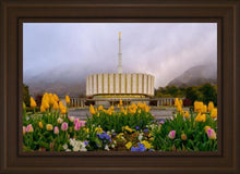 Load image into Gallery viewer, Provo Spring Tulips

