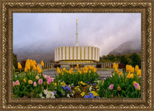 Load image into Gallery viewer, Provo Spring Tulips
