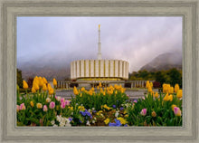 Load image into Gallery viewer, Provo Spring Tulips
