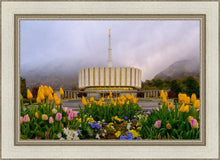 Load image into Gallery viewer, Provo Spring Tulips
