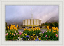 Load image into Gallery viewer, Provo Spring Tulips
