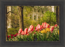 Load image into Gallery viewer, Salt Lake In The Garden
