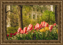 Load image into Gallery viewer, Salt Lake In The Garden
