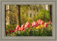Load image into Gallery viewer, Salt Lake In The Garden
