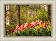 Load image into Gallery viewer, Salt Lake In The Garden
