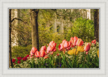 Load image into Gallery viewer, Salt Lake In The Garden
