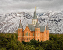 Load image into Gallery viewer, Provo Lifting Storm
