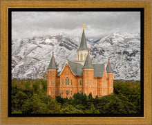 Load image into Gallery viewer, Provo Lifting Storm
