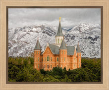 Load image into Gallery viewer, Provo Lifting Storm
