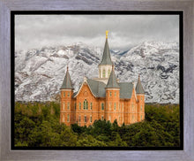Load image into Gallery viewer, Provo Lifting Storm
