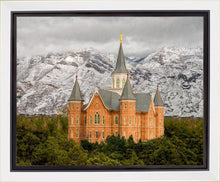 Load image into Gallery viewer, Provo Lifting Storm
