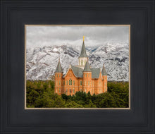 Load image into Gallery viewer, Provo Lifting Storm
