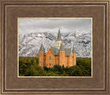 Load image into Gallery viewer, Provo Lifting Storm
