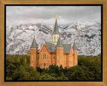 Load image into Gallery viewer, Provo Lifting Storm
