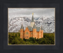 Load image into Gallery viewer, Provo Lifting Storm
