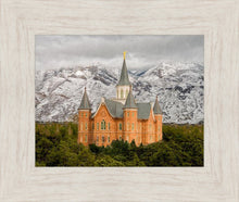 Load image into Gallery viewer, Provo Lifting Storm
