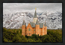 Load image into Gallery viewer, Provo Lifting Storm
